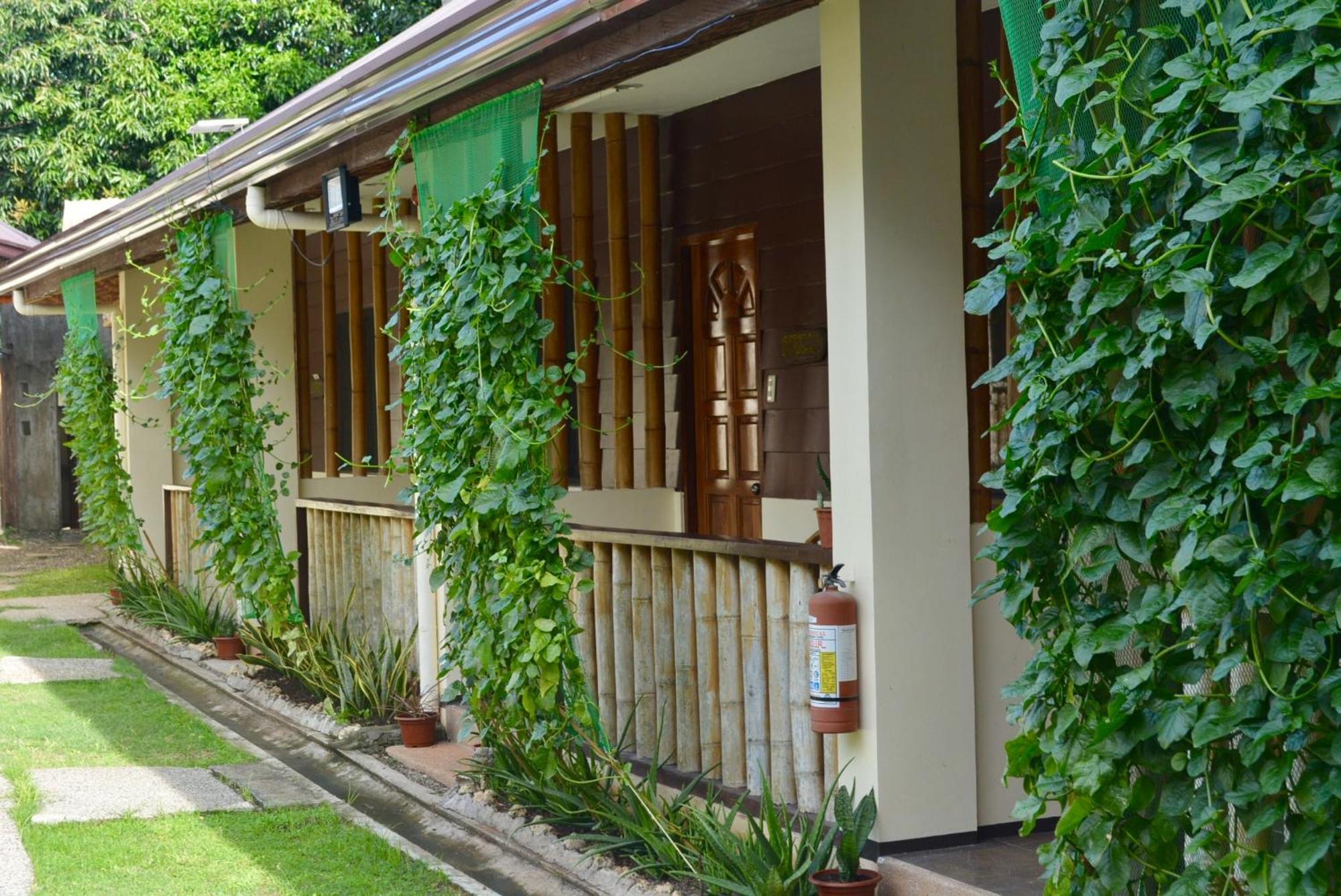 Chiisai Natsu Resort Bolod  Ngoại thất bức ảnh